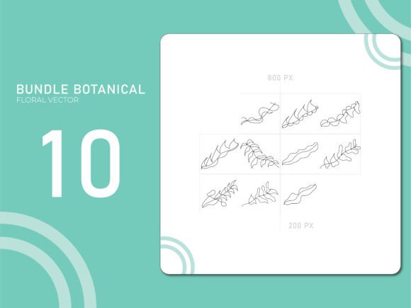 Hand Drawn Botanical 13: Integrating Hand-Drawn Aesthetics into Professional Design Workflows
